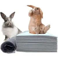 Semoic 100 Stycken Kissdynor för Kaniner, Engångsfoder i Svart Kolfiber, Superabsorberande Luktkontroll, Pottträningsdyna för Kaniner