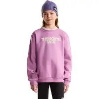 The North Face Chalbi Graphic Tröja