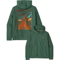 Patagonia - Sweatshirts - M's Cloud Crag Daily Hoody Canopy Green för Unisex - Storlek L - Grön