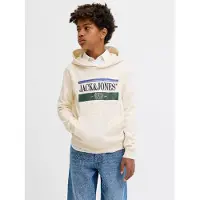 Jack & jones Junior Sweatshirt 'JORFrederiksberg' blå / gran / svart / vit