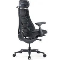 Libernovo Omni Pro Fällbar Stol