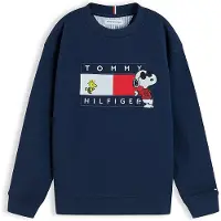 Tommy Hilfiger Peanuts Flag Graphic Embroidery Jumper