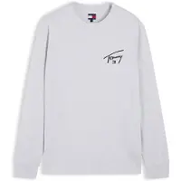 Tommy Hilfiger T-shirt marinblå / gråmelerad