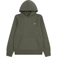 Levi's Kids Sweatshirt oliv