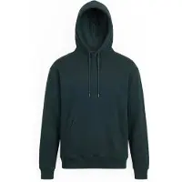 Volcom Sweatshirt 'SINGLE STONE' mörkgrön