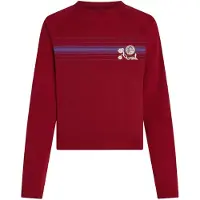 O'Neill O'Riginals T-Shirt tamarillo, M