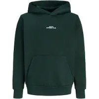 Jack & Jones Junior Sweatshirt 'JJBAY' gran / vit