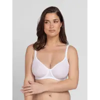 Dorina Minimizer vit