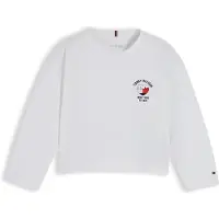 Tommy Hilfiger T-shirt marinblå / röd / vit