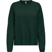 ONLY Tröja 'ONLLoyal Amalio' gran
