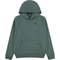 Abercrombie & Fitch Sweatshirt 'ESSENTIALS FLEECE' jade