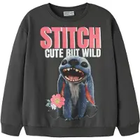 Name it Sweatshirt 'NKFJYNI STITCH' mörkblå / hallon / svart / off-white