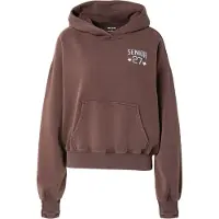 Hollister Sweatshirt duvblå / choklad / gul
