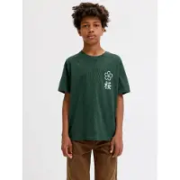 Jack & Jones Junior T-shirt 'JJDYLAN' mörkgrön / vit