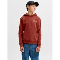 Jack & jones Brandes Relaxed Huvtröja