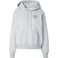 Levi's Sweatshirt 'GR Everyday Hoodie 2.0' ljusblå / ljusgrå / svart