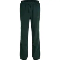 Jack & jones Junior Byxa 'JJIGORDON' gran