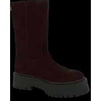 Steve madden Stövlett 'Soleil' mörkbrun