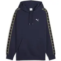 Puma Essentials Elevated Tape Relaxed Hoodie Men, storlek Medium