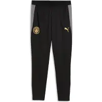 Puma Manchester City Träningsbyxor - Svart, storlek Large