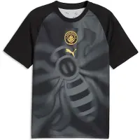 Puma Manchester City Fc 26/27 Warm Up Före Matchen T-shirt Med Korta ärmar