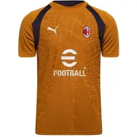 Puma Milan Tränings T-Shirt - Guld Barn - , storlek 128 cm