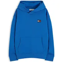 Tommy Hilfiger Heritage Flag Logo Terry Hoody