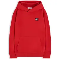 Tommy Hilfiger Heritage Flag Logo Terry Hoody
