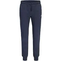 Jack & Jones Plus Byxa 'JPSTGORDON' marinblå / vit