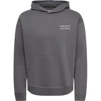 Only & Sons Sweatshirt 'ONSTROY' stone / vit