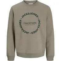 Jack & Jones Sweatshirt 'JJBENSON' jade / gran