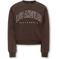 ONLY GIRLS Sweatshirt 'KOGSWEAT' mörkbrun / vit
