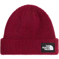 The North Face - Mössor - Salty Lined Beanie Burgundy Crush för Unisex - Bordeaux