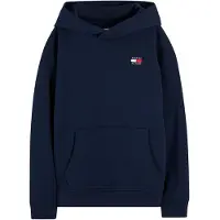 Tommy Hilfiger Flag Logo Terry Hoody
