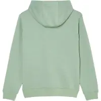 Quiksilver Comp Logo Kids Hoodie iceberg green, T08
