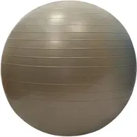 Sporti France Gym Fitboll 55 Cm