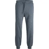 Jack & Jones Byxa 'JPSTGordon JJBradley' basalgrå