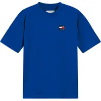 Tommy Hilfiger Heritage Flag Logo Jersey T-Shirt