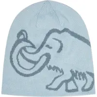 Mammut Logo Reversible Mössa