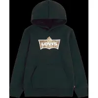 Levi's Kids Sweatshirt brun / svart / vit