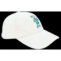 Billabong Dad Cord Keps