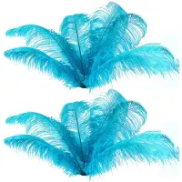 ISTOVO 20 Pcs Natural Ostrich Feathers Wedding Party Decoration Lake 20-25cm