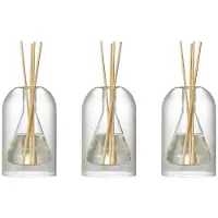 Typecat 3X FöRvaringsbehåLlare Diffuserflaskor Aromaterapi Diffuserflaska Modern Diffuser Glasflaska Eterisk Olja Organizers,B