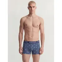 Jack & Jones Boxershorts 'JACCENTRAL' opal / svart / vit
