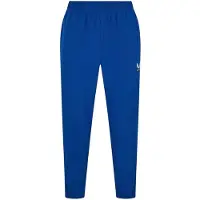 Castore Joggingbyxor i fleece för män med avsmalnande ben (Surfa på webben)