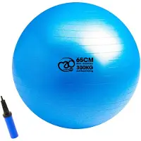 Fitness-Mad 300kg Anti-burst Swiss Fitboll