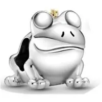 YIRAN Jewelry Äkta 925 Sterling Silver Söt My Friend Pet Hund Dangle Charm O Hänge Passar Original Armband Smycken Present