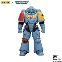 Joy toy Warhammer Space Wolves Intercessor Figur