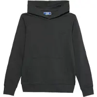 Jack & jones Junior Sweatshirt 'JJEARCHIVE' antracit