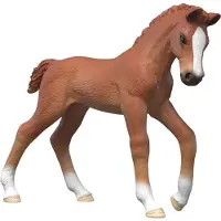 Schleich Horse Club - Samlarföl - Ruby - 81480 - - One Size - Leksaksdjur